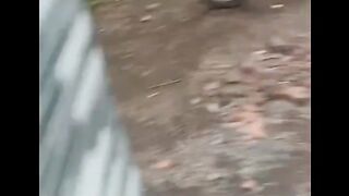 Meme viral 4