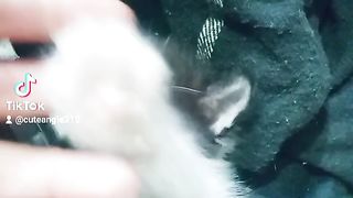 Little byla