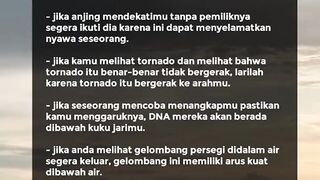 Fakta fakta menarik