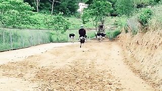 Vairl video 12