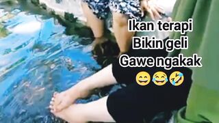 Ikan terapi bikin geli gawe ngakak