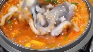 fresh octopus