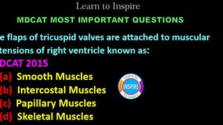 The flaps of tricuspid valves are attached to muscular extensions of right ventricle known as:#mdcatbiology #ETEABiology #circulation #transport