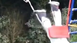 funnyanimals 6