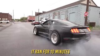 Mustang