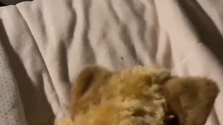 Playing dolls with chiki