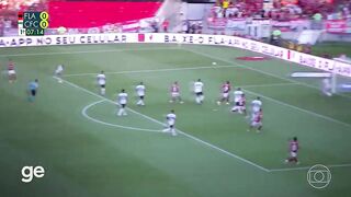 Flamengo nasao