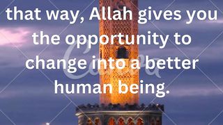 quotes 5