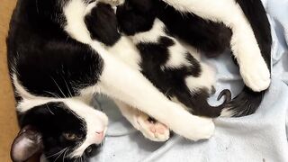 Mother love 4