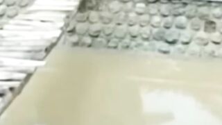 Video lucu gokil | ngakak parah