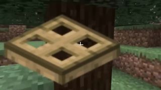 Minecraft, But Trapdoors Teleport Me|camman e