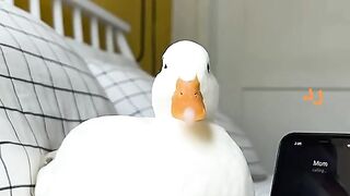 واوووو