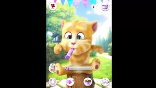 Cat Ginger funny video