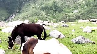 Re mere ???????? 50