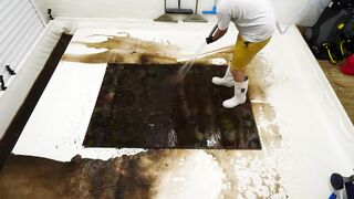 I've Never Seen So Many Worms On A Rug ! Carpet Cleaning Satisfying Time Lapse