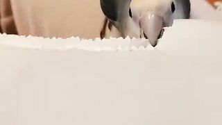 How are you ☺️❤️I hope it