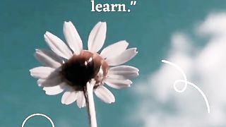 Albert Einstein motivation
