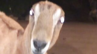 look her innocent face
