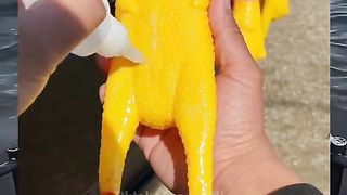 funny video animal
