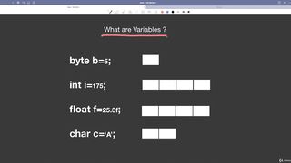 What are Variables