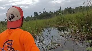 Rejeki Anak Soleh ikan tapah #fish #ikan #animals