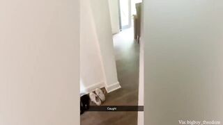 Best Of The 2023 Funny Animal Videos 2