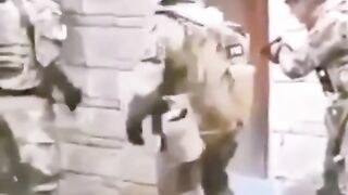 Funny video 875