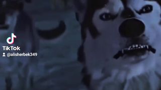 Zor video 2