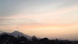 Morning Glory