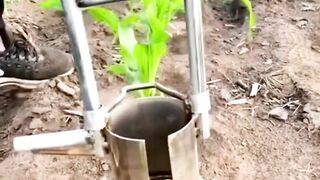 Great creative in gardening and agriculture.