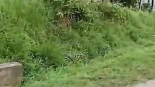 Perjalanan 2