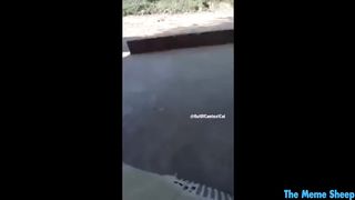 TRY NOT TO LAUGH 6