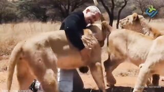human friendship with animals