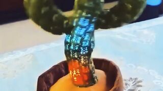 Cactus swaying