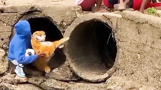 Video funy