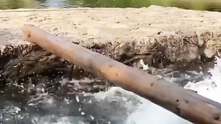 Best funny comedy video tiktok china compilation 2022 2