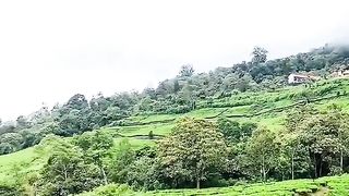 Kawasan pagar alam