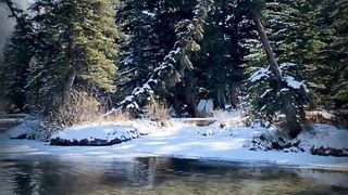 Winter is here finally #canada #nature #scenery