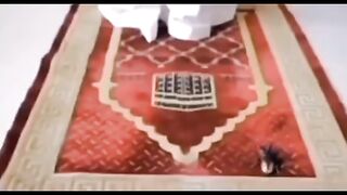 LUCU NGAKAK, Video Lucu Bikin Ngakak Parah, Video Lucu Bikin Ngakak, Kumpulan Video Lucu Ngakak