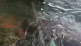 Mancing ikan di pinggir laut