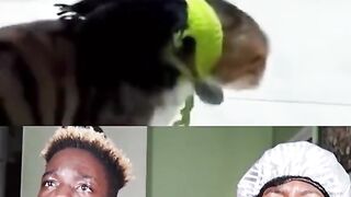 Hahaha.. his friend is afraid of him
