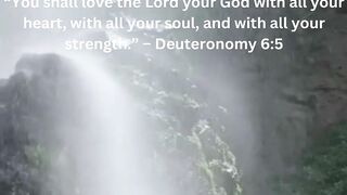 bible verse 8
