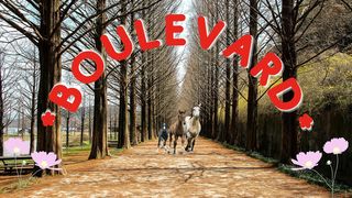Boulevard