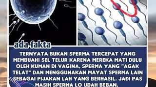 Education 10