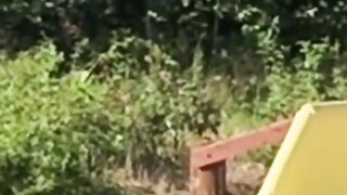 Random video meme