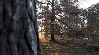 Video Pemandangan HD Alam No Copyright _ Footage Nature _ Mentahan Video