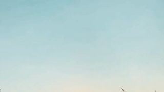 Live motivation 25