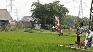 Kite fighter 17