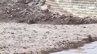 عجائب مالم تره من قبل