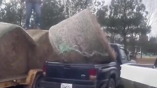 TRY NOT TO LAUGHING I Best Funny Videos Compilation 2023 # 77 2